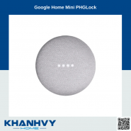 Google Home Mini PHGLock