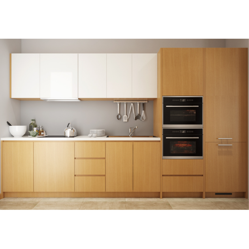 Tủ bếp Cabinet Pro ACB50