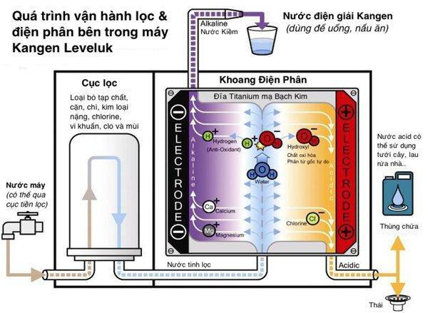 Cơ chế điện phân nước của Kangen Leveluk SD501