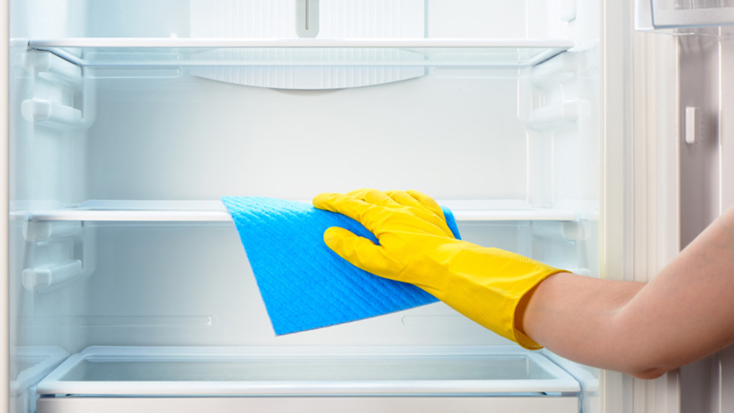 Vệ sinh tủ lạnh thường xuyên để đảm bảo hiệu suất hoạt động của tủ