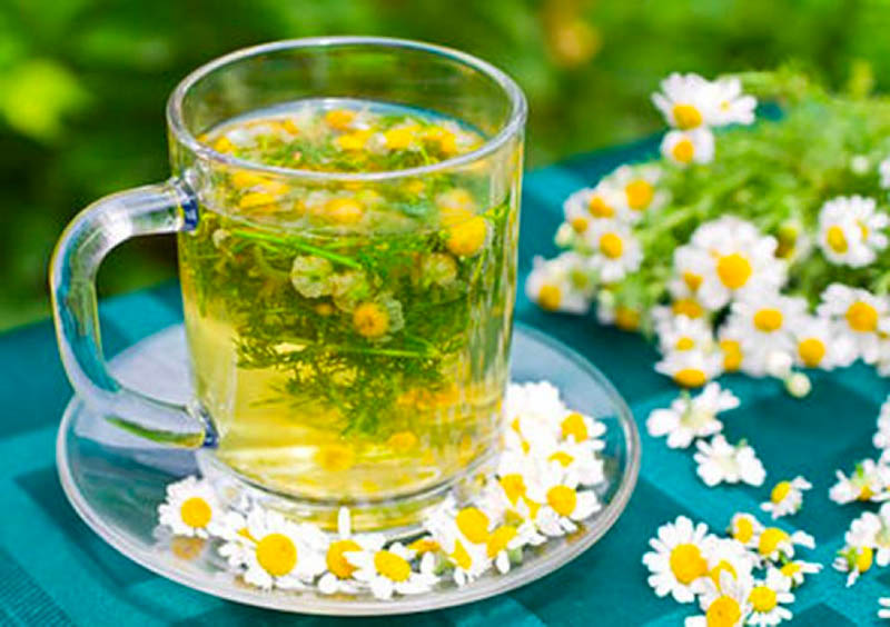 Uống giảm cân với trà hoa cúc