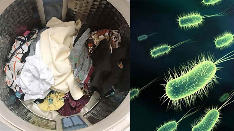Vi khuẩn xuất hiện và xâm nhập vào quần áo