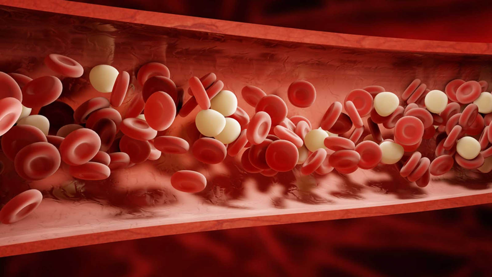 Một số ion có khả năng lọc sạch máu