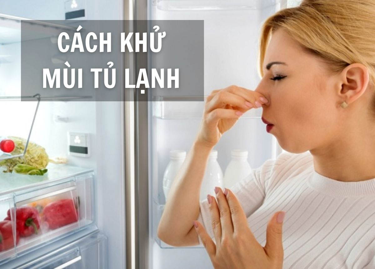 Hướng dẫn cách khử mùi thịt thối tủ lạnh đơn giản