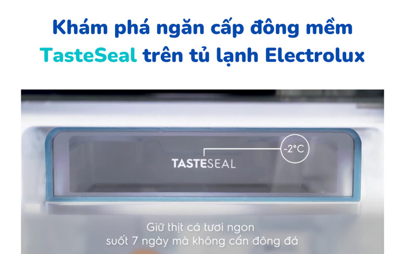 Tủ lạnh Electrolux ETB2302J-A ứng dụng công nghệ TasteSeal hiện đại