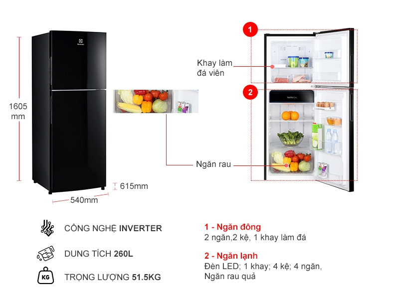 Thông số tủ lạnh Electrolux 256L ETB2802J-H