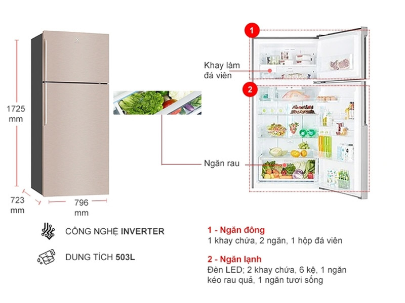 Thông số tủ lạnh Electrolux 503L ETB5400B-G