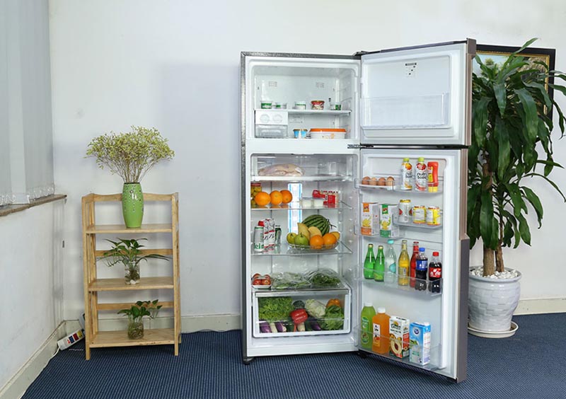Tủ lạnh Electrolux 503L ETB5400B-G giúp lưu trữ được lượng lớn thực phẩm
