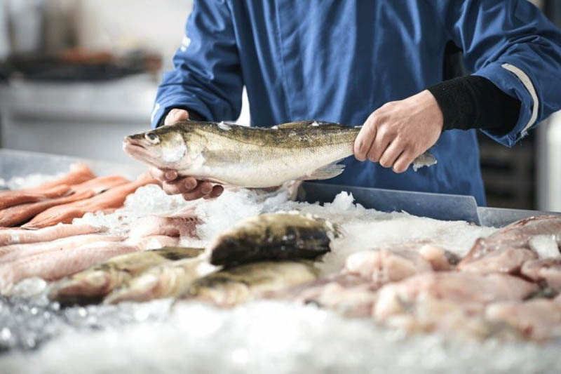 Bảo quản cá đông lạnh đúng cách giúp cá để được lâu hơn