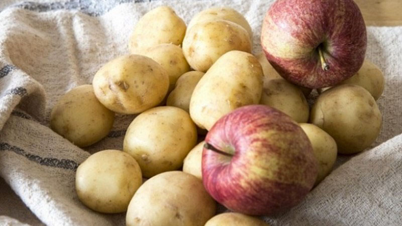 Bảo quản chung với táo sẽ ức chế sự nảy mầm của khoai tây 