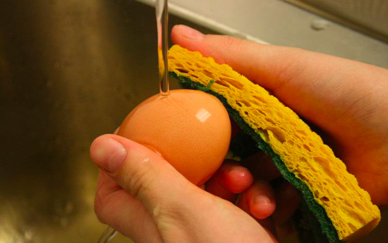 Rửa sạch trứng trước khi cho vào trong tủ lạnh