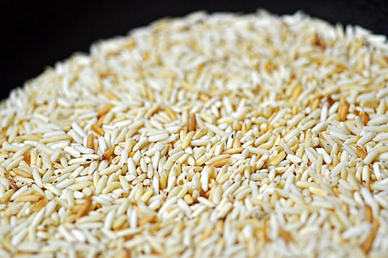 Rang gạo trước khi nấu sẽ giúp món cháo nhanh nhừ mà không bị nát