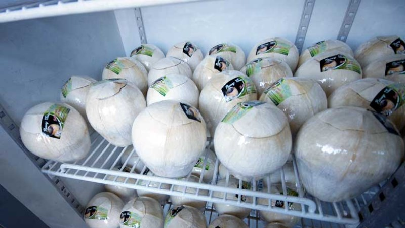 Chúng tôi khuyên bạn nên gọt vỏ dừa để có kết quả tốt nhất trong tủ lạnh
