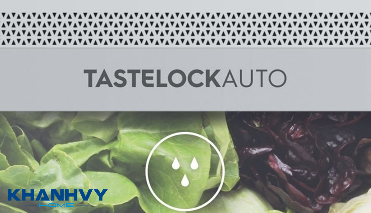 Tủ lạnh Electrolux ETB3440K-A có ngăn rau TasteLock Auto với lưới lọc tự động điều chỉnh độ ẩm giúp bảo quản rau củ quả tươi ngon lâu hơn