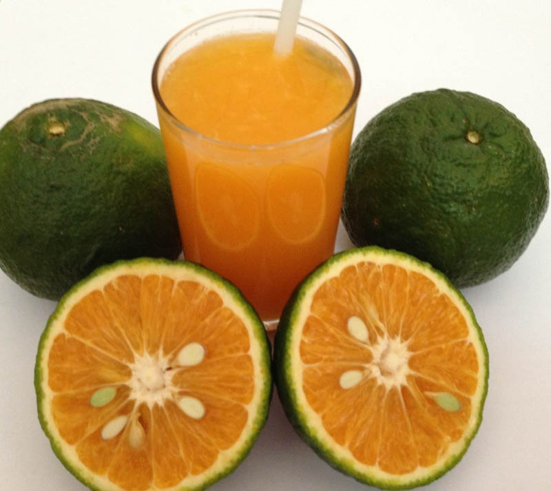 Sử dụng nước cam vắt thường xuyên rất tốt cho cơ thể