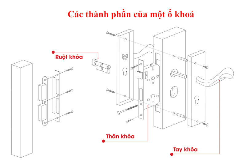 Một ổ khóa bao gồm 3 bộ phận chính: ruột khóa, thân khóa, tay khóa