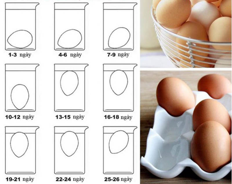 Cách kiểm tra trứng